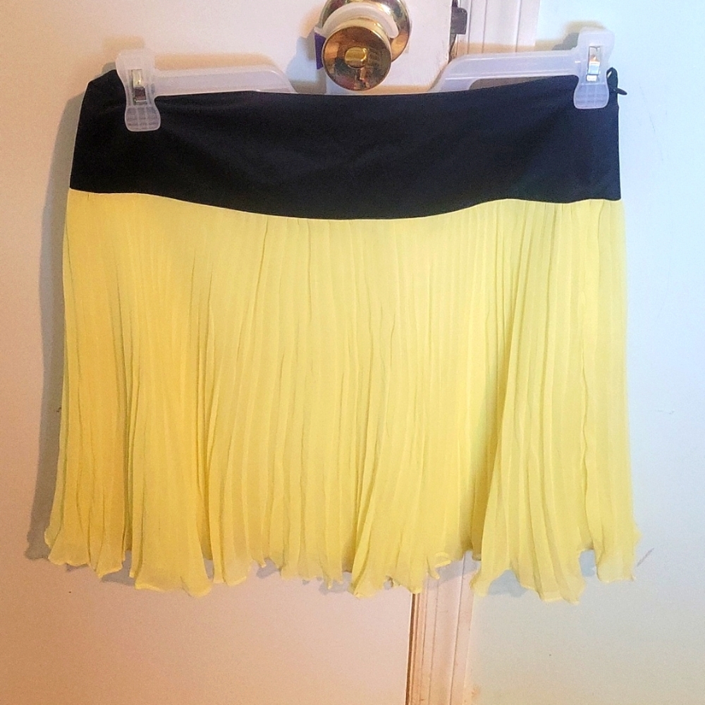 The Limited Skirt